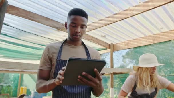 Mixed race farming couple working in green house typing on digital tablet — Stock Video