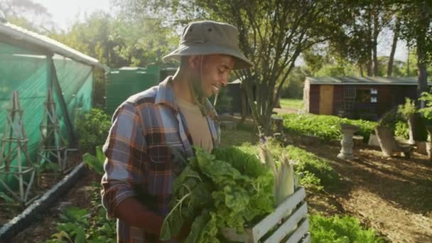 Mixte homme agriculteur travaillant à l'extérieur portant panier de légumes — Video