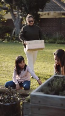 Üç Nesil Çoklu Etnik Asyalı Aile Bahçe İşleri Birlikte Yapıyor. Yüksek kaliteli FullHD görüntüler