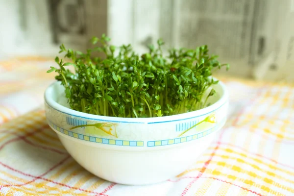 Choux verts dans un bol dans la paume — Photo