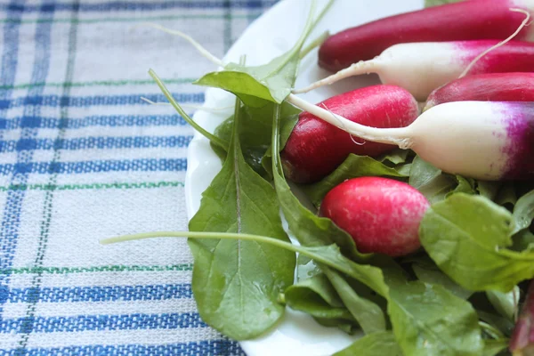 Fresh red radish with green leaf on white background — Stockfoto