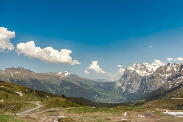 Uitzicht vanaf grindelwald, Zwitserland — Stockfoto