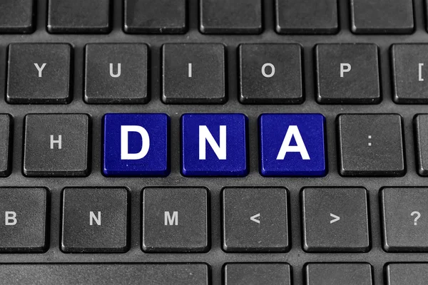 DNA ou ácido desoxirribonucleico no teclado — Fotografia de Stock