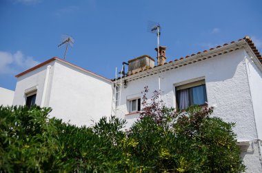 Ağaçların arkasında gökyüzüne karşı beyaz bir ev