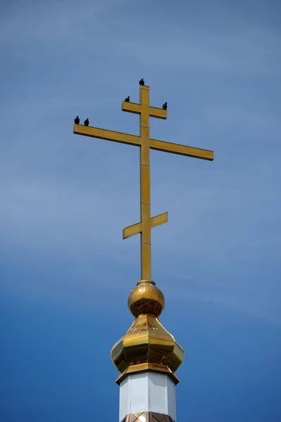 Kuşlar üzerinde oturup kilise çapraz
