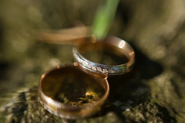 Güzel altın alyanslar