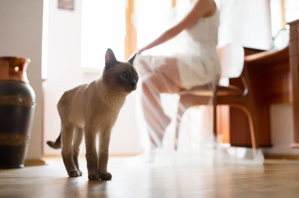 gelin ve damat nikahı