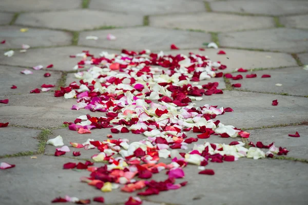 gelin ve damat nikahı