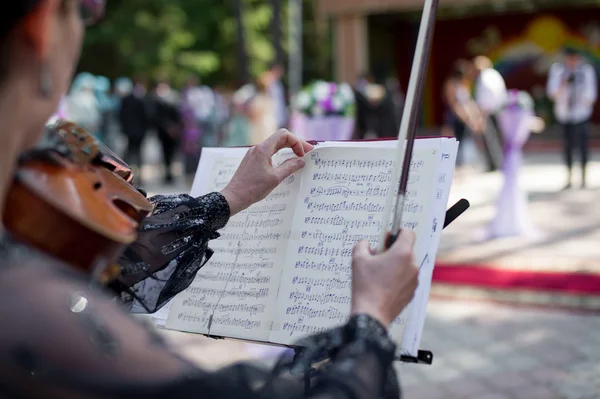 Keman ve notlar ile müzisyen