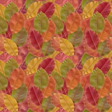 Kusursuz parlak desen taranmış yapraklardan oluşur..