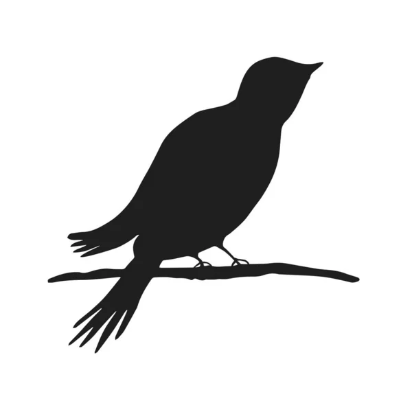 Digitale Silhouetten von Vögeln. Vogelillustration. Vektorelement für Cricut. — Stockvektor