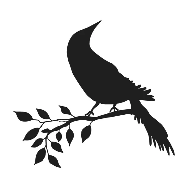 Digitale Silhouetten von Vögeln. Vogelillustration. Vektorelement für Cricut. — Stockvektor