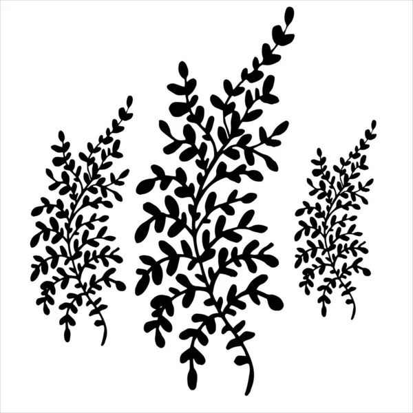 Silhouette d'herbe. Silhouettes en herbe. Plantes d'été. — Image vectorielle