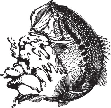 Free Free 75 Large Mouth Bass Svg SVG PNG EPS DXF File