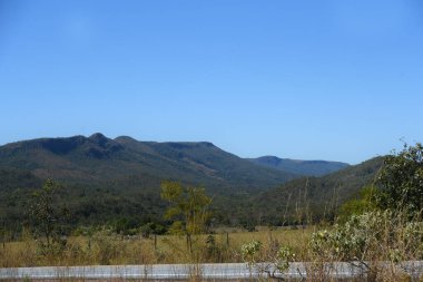 TYPICAL VEGETATION LANDSCAPE IN BRAZILIAN CERRADO FORESTS