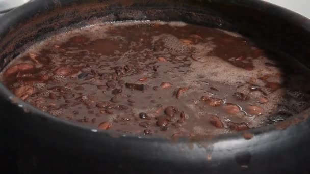 ベーコン キャベツ サラダ スパイス コショウで作られた典型的なブラジル料理Feijoada — ストック動画