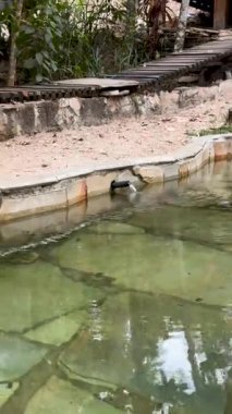 Pirenopolis Goias Brezilya şelaleleri ve doğal güzellikleri olan tarihi ve turistik bir şehir..