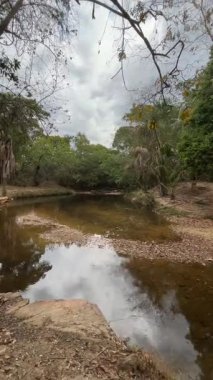 Pirenopolis Goias Brezilya şelaleleri ve doğal güzellikleri olan tarihi ve turistik bir şehir..