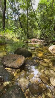 Gois Brezilya ekolojisinin doğa şelalesi cerrado