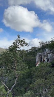 Gois Brezilya ekolojisinin doğa şelalesi cerrado