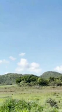 Gois Brezilya ekolojisinin doğa şelalesi cerrado