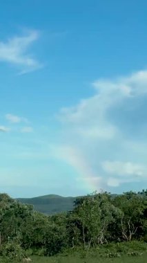 Doğa, bitki örtüsü, bitki örtüsü, şelale, Gois Cerrado, Brezilya, ekoloji