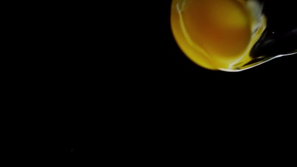 깨어 지는 달걀은 서서히 움직 인다. 검은 색외진 배경 위에 촬영 인공적 인 전문 조명 180fps. — 비디오