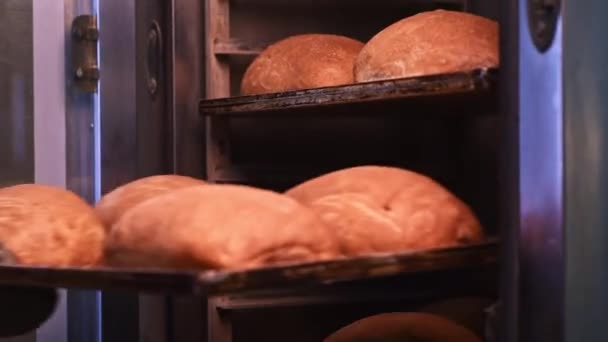 Świeżo upieczony chleb na półkach jest wyjmowany z piekarnika — Wideo stockowe