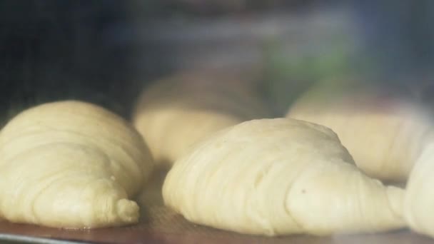 Pečení pečiva a růst v peci. TIME LAPSE. Detailní záběr. Pečeme zlatý křupavý croissant v troubě, zblízka — Stock video