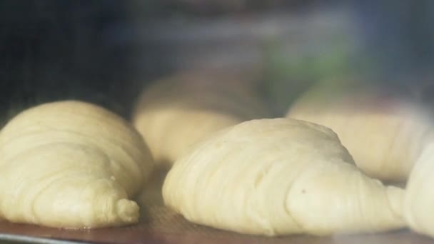 Sütőipari termékek sütése és a sütőben való termesztés. Idő LAPSE. Közelkép. Süss egy arany ropogós croissant a sütőben, közelről — Stock videók