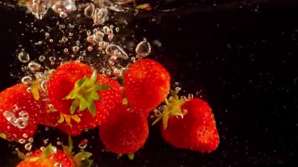Szczegółowe ujęcia truskawek pływających w wodzie. Kolorowe jagody tonące w płynie w zwolnionym tempie. — Wideo stockowe
