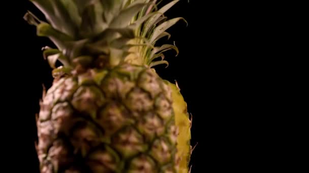 慢动作切成半个菠萝片.密切留意新鲜的菠萝片 — 图库视频影像