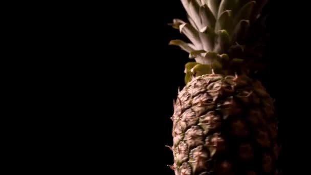 Čerstvý ananas na černém pozadí. Rotující ovoce na černém pozadí — Stock video