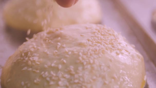 Vita sesamfrön faller på rå hamburgerbröd i slow motion — Stockvideo