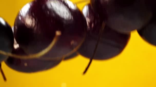 Μαύρα κεράσια πετούν σε κίτρινο φόντο σε αργή κίνηση — Αρχείο Βίντεο