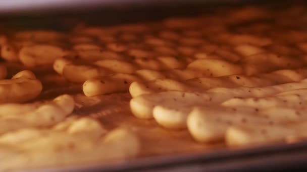 Grissini al forno spuntino saporito fatto di pasta. Grissini cottura timalapse in forno — Video Stock