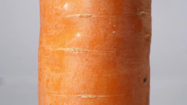 Macro de corte de zanahoria con cuchillo — Vídeo de stock