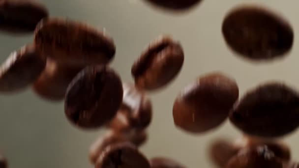 慢动作渐变灰背景下的烘烤咖啡豆坠落 . — 图库视频影像
