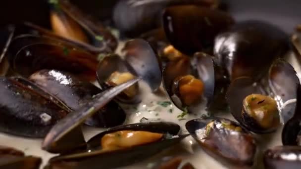 Close-up van verse heerlijke mosselen koken in keukenpan met aromatische kruiden en specerijen. gestoomde mediterrane weekdieren kokend in kookpan. — Stockvideo