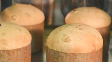 Paskalya pastası hazırlığı. Fırında pişmiş dört sünger keki zamanı.