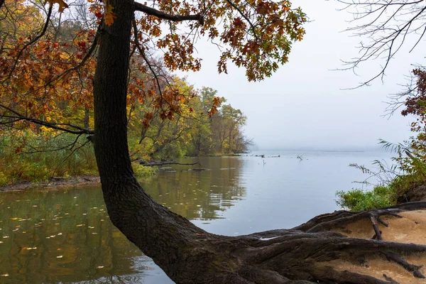 Autumn Landscape Cloudy Morning Starved Rock State Park Illinois Usa — Stock Photo, Image