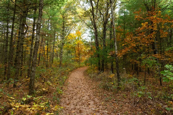 Hiking Trail Autumn Morning Sand Ridge State Forest Illinois Usa — Stock Photo, Image