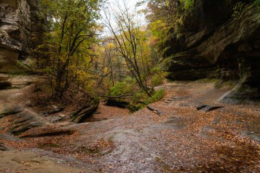 LaSalle Kanyonu bulutlu bir sonbahar sabahında. Aç Rock State Park, Illinois, ABD