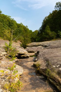 Shawnee Ulusal Ormanı 'ndaki Bell Smith Springs yürüyüş yolu boyunca manzara..