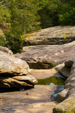 Shawnee Ulusal Ormanı 'ndaki Bell Smith Springs yürüyüş yolu boyunca manzara..