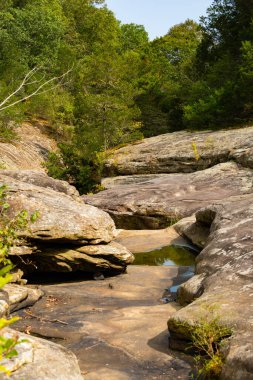 Shawnee Ulusal Ormanı 'ndaki Bell Smith Springs yürüyüş yolu boyunca manzara..