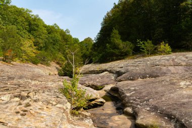 Shawnee Ulusal Ormanı 'ndaki Bell Smith Springs yürüyüş yolu boyunca manzara..