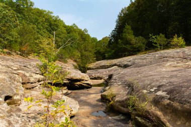 Shawnee Ulusal Ormanı 'ndaki Bell Smith Springs yürüyüş yolu boyunca manzara..