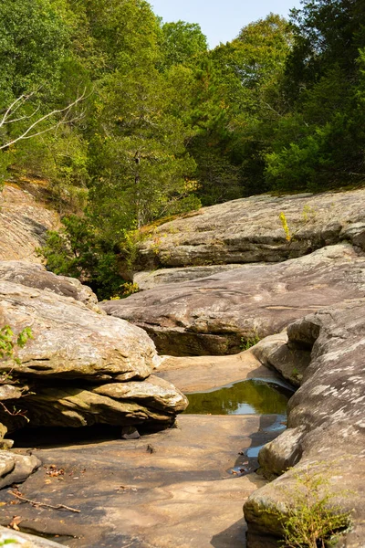 Landschap Langs Wandelroute Bij Bell Smith Springs Het Shawnee National — Stockfoto