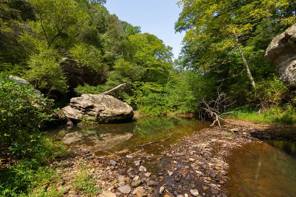 Landskap Längs Vandringsleden Vid Bell Smith Springs Shawnee National Forest — Stockfoto